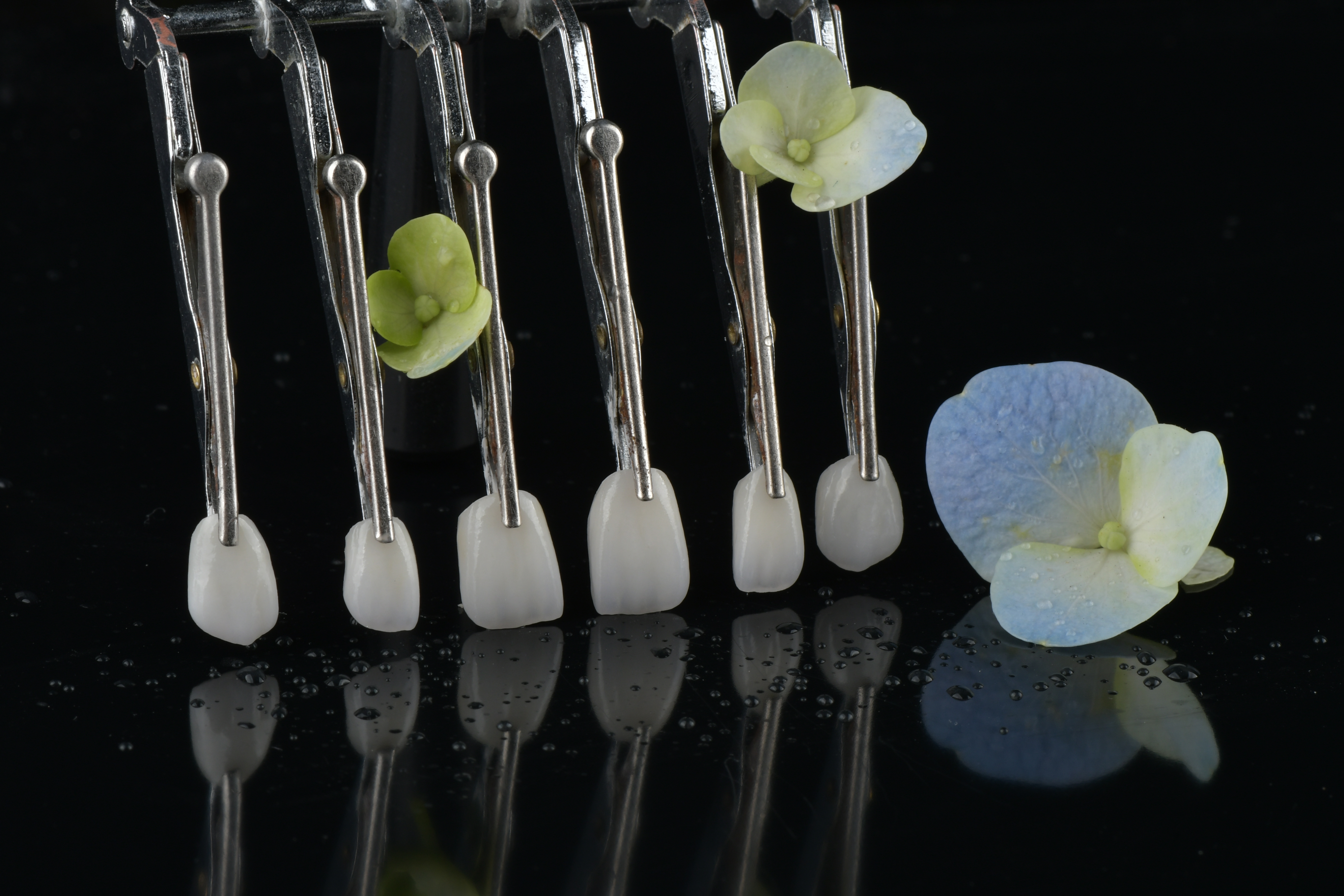 Últimos blogs da empresa sobre As restaurações fixas exigem consultas de acompanhamento?