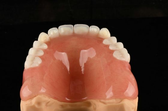 comprar Dentes de acrílico de aparência natural Dentes artificiais de acrílico para conforto duradouro fabricação em linha